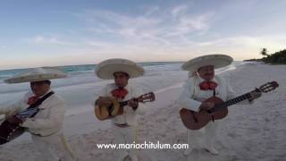 Mariachi Tulum  Negrita de mis pesares [upl. by Erlandson]