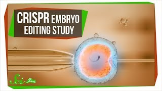 What the CRISPR Embryo Editing Study Really Taught Us [upl. by Pitchford965]