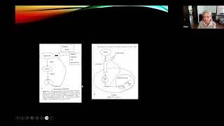 Signs of Toxicity During Canine Pregnancy Webinar [upl. by Bone724]