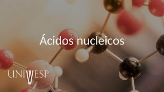 Bioquímica  Aula 11  Ácidos nucleicos [upl. by Kcirtapnaes]