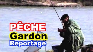 PÊCHE  Le gardon dans le Minervois [upl. by Carolus]