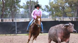 Dalby Stockhorse Sale Arangely Delilah Lot 318 [upl. by Keligot404]