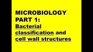 MICROBIOLOGY PART 1 Bacteria classification  cell wall structure [upl. by Kaia]