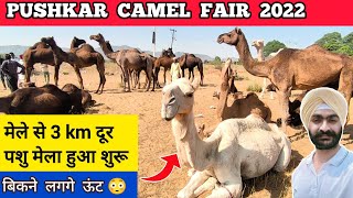 Pushkar mela 2022  Pushkar camel fair 2022  Pashu mela pushkar mela 2022  Pushkar fair rajasthan [upl. by Nitsraek]