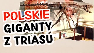 Smok wawelski i polski gigant z triasu [upl. by Ettennod]