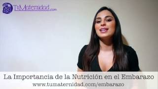 Nutricion en el Embarazo [upl. by Davidoff]