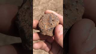 My lucky day Found an iron meteorite [upl. by Libenson]