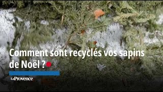 À Marseille comment sont recyclés vos sapins [upl. by Beutner]