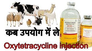 Antibiotic OXYTETRACYCLINE INJECTION कब उपयोग में ले पशुओं में और क्या लाभ और क्या हानि होती है [upl. by Arahd394]