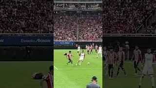 GDL ES ROJINEGRO❤️🖤 rojinegrosdelatlas futbol chivas ligademexico ligamexicana [upl. by Egrog]