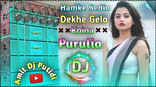 Purulia Dj Song  Hamke Sedin Dekhe Gelo Koina  Dj Purulia Gana  Amit Dj Putidi [upl. by Aihtiekal390]