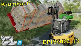 I HAD AN ACCIDENT  Krumbach  Ep13  Farming Simulator 22 [upl. by Lathrop]