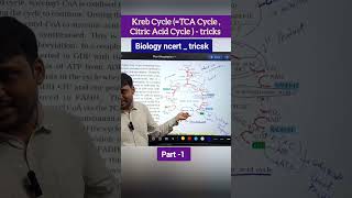 kreb Cycle  TCA Cycle  Citric Acid Cycle Tricsk krebcycle tcacycle NEET neetbiology [upl. by Acinnod]