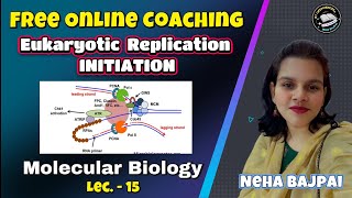 Eukaryotic Replication INITIATION I Lec 15  Molecular Biology I BSc I MSc Classes I CSIR NET [upl. by Ardnu]