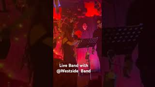 Live Band Concert with enthusiastic customers livemusic liveband gig band leadvocalist shorts [upl. by Itram467]