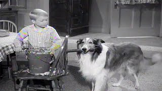 Lassie❄️🎄 A Christmas Story❄️🎄Christmas Special ❄️🎄Christmas Movie For Kids ❄ [upl. by Airres124]