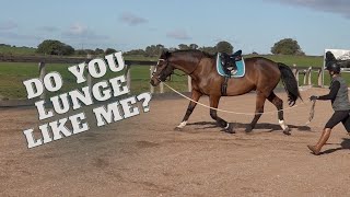 How To Lunge A Horse amp Some Lunging Tips [upl. by Nicholl90]