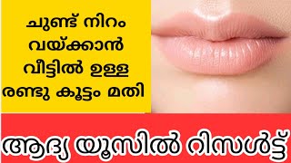 ചുണ്ട് നിറം വയ്ക്കാൻവീട്ടിൽ ഉള്ള രണ്ടു കൂട്ടംമാത്രംമതി Lip Lightening Home RemedyPermanent Result [upl. by Cecile439]