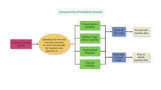 Feasibility Analysis Explained [upl. by Eenobe455]