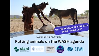 SuSanA Online Event Putting animals on the WASH agenda – launch of policy brief [upl. by Sevik37]