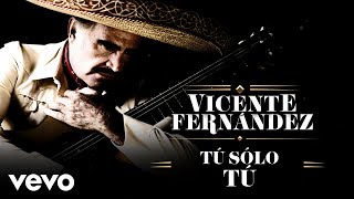 Vicente Fernández  Tú Solo Tú LetraLyrics [upl. by Adnolat831]