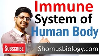 Innate and adaptive immunity  immune system of human body lecture [upl. by Hsakiv]