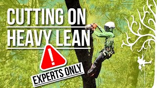 How to Cut trees that lean hard A few techniques to do it safer Tips and tricks [upl. by Ardnala]