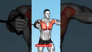 🤬😱 upper chest all exercises tips motivation💪♥️ tanish gymlover TG 🏋️‍♂️💯😈youtubeshorts [upl. by Nyre]