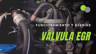 Válvula EGR funcionamiento averías y cómo cambiar la EGR [upl. by Nalyorf]