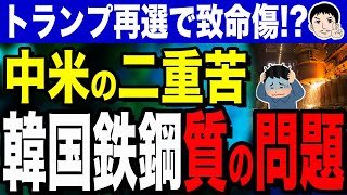 【高品質…それは美味しいニカ❓🤤美味しいんだけどな…あ〜あ🤷】韓国鉄鋼業界が直面する現実！？質で勝負できない韓国に中国産とトランプリスクの二重苦が迫る！ [upl. by Brion895]