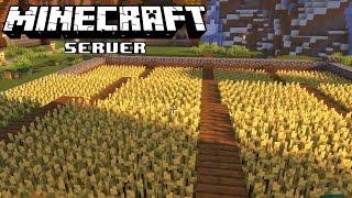 MINECRAFT ☀️ S07E068 • Kurz mal das Feld YEETEN • LETS PLAY MINECRAFT [upl. by Ahsahs]