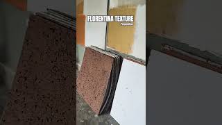 FLORENTINA TEXTURE wall design interiordesign painting shorts salmankhan lawrencebishnoi [upl. by Junie]