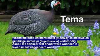 Gr 11 Afrikaans EAT  Die Tarentaal Totius verduideliking op video [upl. by Flann57]