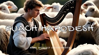 RUACH HAKODESH  PROPHETIC WARFARE INSTRUMENTAL  HARP INSTRUMENTAL WORSHIP  INTENSE HARP WORSHIP [upl. by Opiuuk]