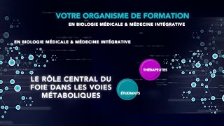 Extrait de formation  Rôle central du foie et du pancréas dans les voies métaboliques [upl. by Suivat604]