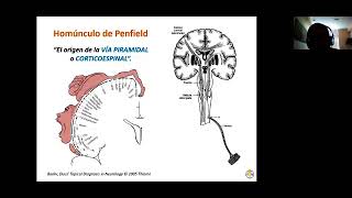 Neurología  1 [upl. by Atteloj]