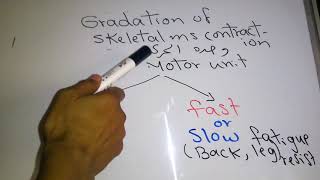 Skeletal muscle new system Gradation of Skeletal muscle contraction dr mohamed fayez [upl. by Petua121]