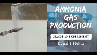 Production of Ammonia NH3 gas in Lab  Board Exam Experiment  Grade 10  Chemistry [upl. by Agnella]