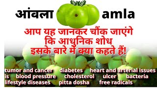 amla khane ke fayde aur nuksan  benefits of amla or gooseberry [upl. by Aicsila]