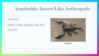 Biology Week 5 B Arthropods Part 2 [upl. by Adnamma]