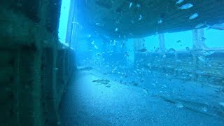 MARTA rail cars become underwater habitat off Georgia coast [upl. by Ciryl764]