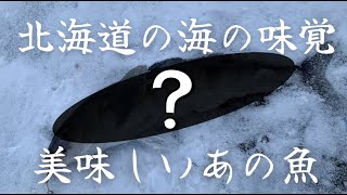 【北海道釣り】北の海の味覚を釣り上げろ！ [upl. by Anama398]