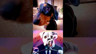 Hilarious Dog The Laughing Meme Sensation [upl. by Mell419]