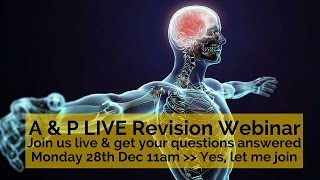 Anatomy and Physiology Revision Live Webinar and Q amp A Session [upl. by Morty]