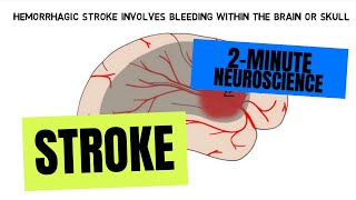 2Minute Neuroscience Stroke [upl. by Maryrose]