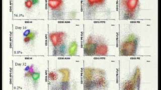 Trends in Multiparameter Flow Cytometry in Hematology  Dr Brent Wood [upl. by Alekim]