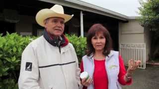 Chatn with PamelaQuarter Horse Trainer Denny Ekins amp The Original SoakingBoot® [upl. by Seerdi]