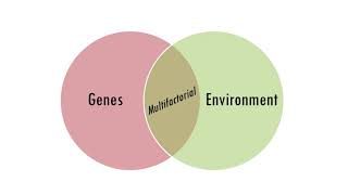 Multifactorial Inheritance [upl. by Baldridge]