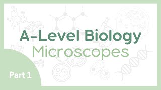 MICROSCOPES 1 Light vs Electron  Magnification vs Resolution  ALevel Biology AQA OCR Edexcel [upl. by Suraved]