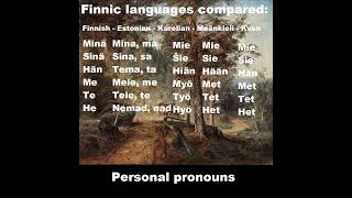 Finnic Languages Compared Finnish Estonian Karelian Meänkieli Kven Finland Estonia languages [upl. by Vasiliu158]